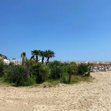 Horizon 31 'а' スヴェティ・ヴラス