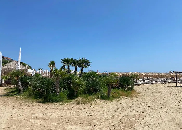 Horizon 31 'а' スヴェティ・ヴラス